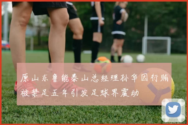 原山东鲁能泰山总经理孙华因行贿被禁足五年引发足球界震动